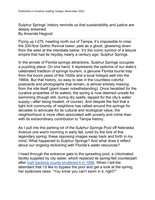 Sulphur Springs’ past reminds us that sustainability and justice are deeply entwined