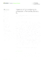 Ingestion of microplastics by copepods in Tampa Bay Estuary, FL