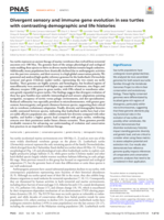 Divergent sensory and immune gene evolution in sea turtles with contrasting demographic and life histories