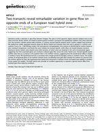 Two transects reveal remarkable variation in gene flow on opposite ends of a European toad hybrid zone