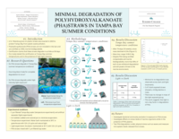 Minimal degradation of PHA straws in Tampa Bay Summer Conditions